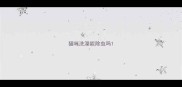 猫咪洗澡能除虫吗