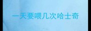 一天要喂几次哈士奇
