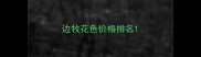 边牧花色价格排名