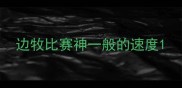 边牧比赛神一般的速度