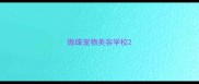 傲雄宠物美容学校