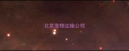 北京宠物运输公司