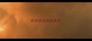 杭州买拉布拉多犬