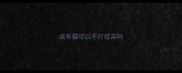 成年猫可以不打疫苗吗