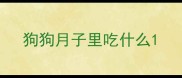 狗狗月子里吃什么