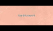 带宠物玩的地方吗