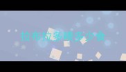 拉布拉多喂多少食