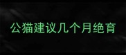 公猫建议几个月绝育