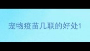 宠物疫苗几联的好处