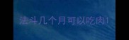 法斗几个月可以吃肉