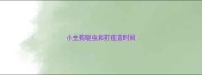 小土狗驱虫和打疫苗时间
