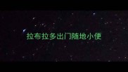 拉布拉多出门随地小便