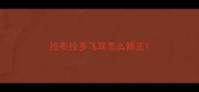 拉布拉多飞耳怎么矫正