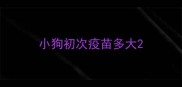 小狗初次疫苗多大