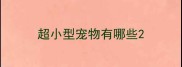 超小型宠物有哪些