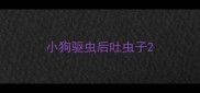 小狗驱虫后吐虫子