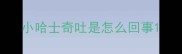 小哈士奇吐是怎么回事