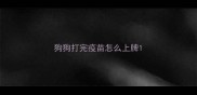 狗狗打完疫苗怎么上牌