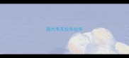 南方冬天拉布拉多