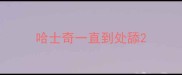 哈士奇一直到处舔