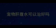 宠物肝腹水可以治好吗