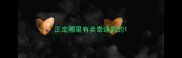 正定哪里有卖泰迪狗的