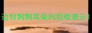 边牧狗狗耳朵向后收表示