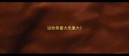 边牧骨量大毛量大
