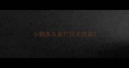 小狗多久能打狂犬疫苗