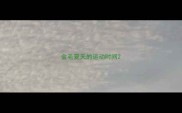 金毛夏天的运动时间