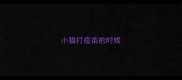 小猫打疫苗的时候