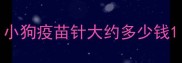 小狗疫苗针大约多少钱