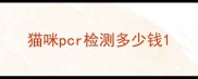 猫咪pcr检测多少钱