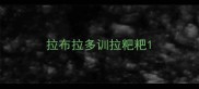 拉布拉多训拉粑粑