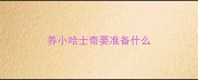 养小哈士奇要准备什么