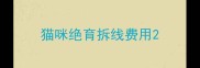猫咪绝育拆线费用