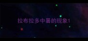 拉布拉多中暑的现象