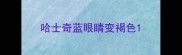 哈士奇蓝眼睛变褐色
