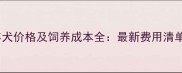 拉布拉多成年犬价格及饲养成本全最新费用清单与避坑指南