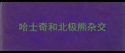 哈士奇和北极熊杂交