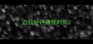 边牧补钙最佳时间