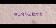 哈士奇与边牧对比