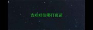 吉娃娃往哪打疫苗