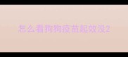 怎么看狗狗疫苗起效没