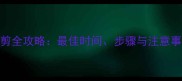 比特犬耳朵修剪全攻略最佳时间步骤与注意事项附图解