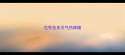 拉布拉多天气热眼睛