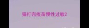 猫打完疫苗慢性过敏
