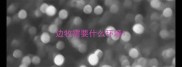 边牧需要什么环境