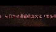 泰迪犬与博美犬的养护指南从日本动漫看萌宠文化附品种对比喂养技巧健康贴士