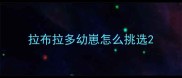 拉布拉多幼崽怎么挑选